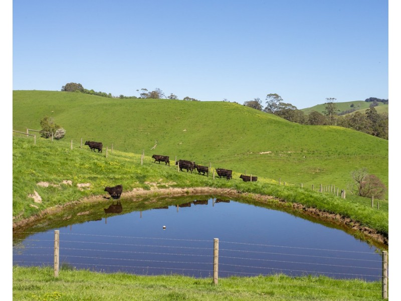 156 Fitzgeralds Road, Arawata VIC 3951