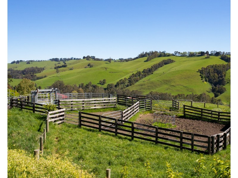 156 Fitzgeralds Road, Arawata VIC 3951