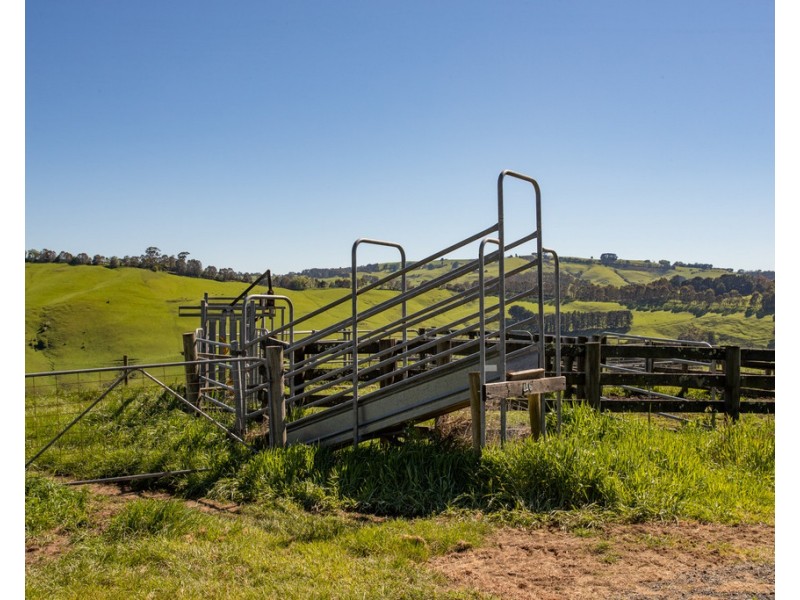 156 Fitzgeralds Road, Arawata VIC 3951