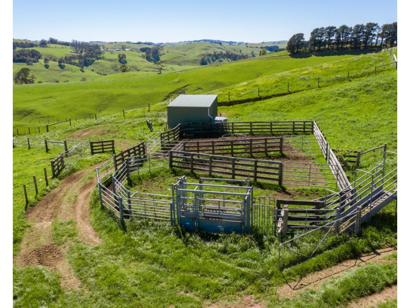 156 Fitzgeralds Road, Arawata VIC 3951