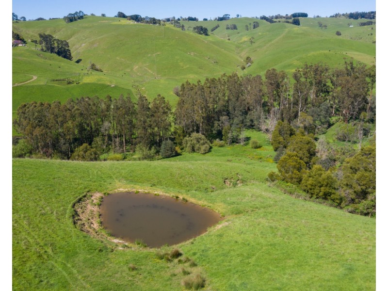 156 Fitzgeralds Road, Arawata VIC 3951