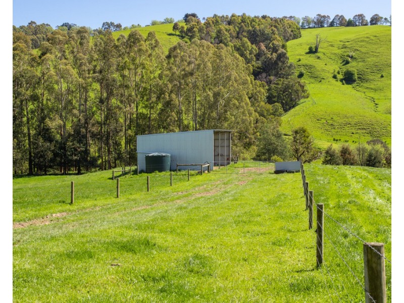 156 Fitzgeralds Road, Arawata VIC 3951