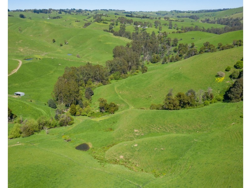 156 Fitzgeralds Road, Arawata VIC 3951