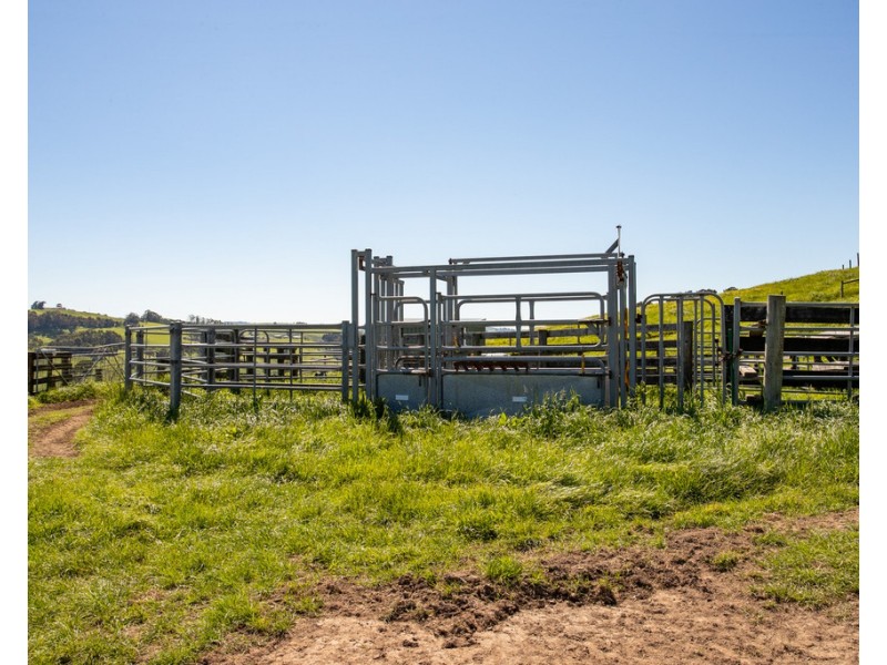 156 Fitzgeralds Road, Arawata VIC 3951