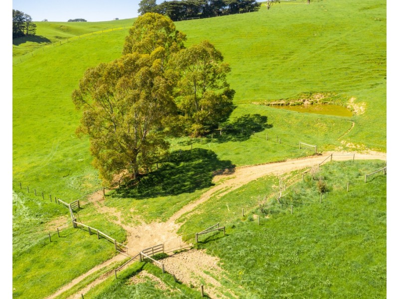 156 Fitzgeralds Road, Arawata VIC 3951