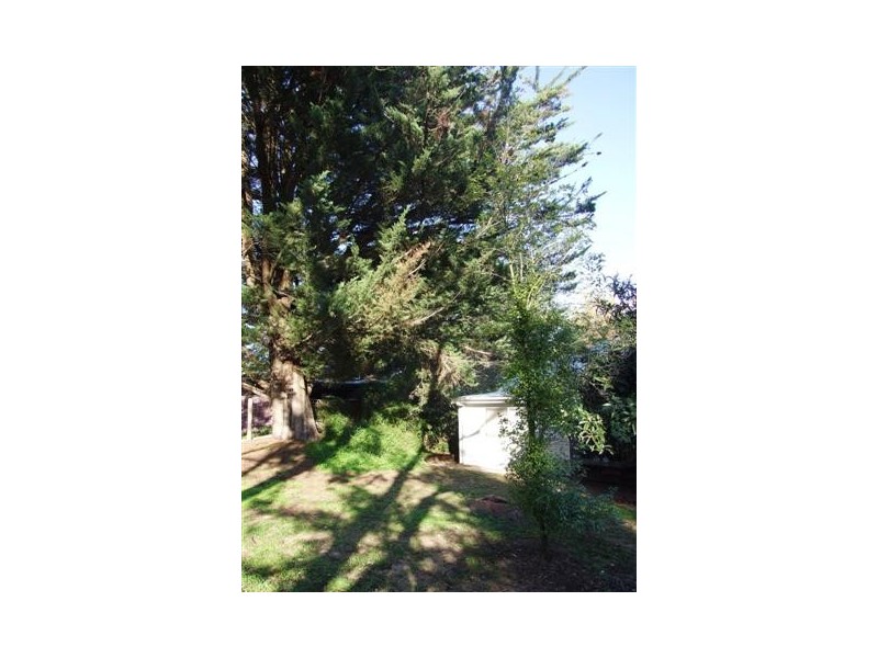 21 Honeysuckle Grove, Silverleaves VIC 3922