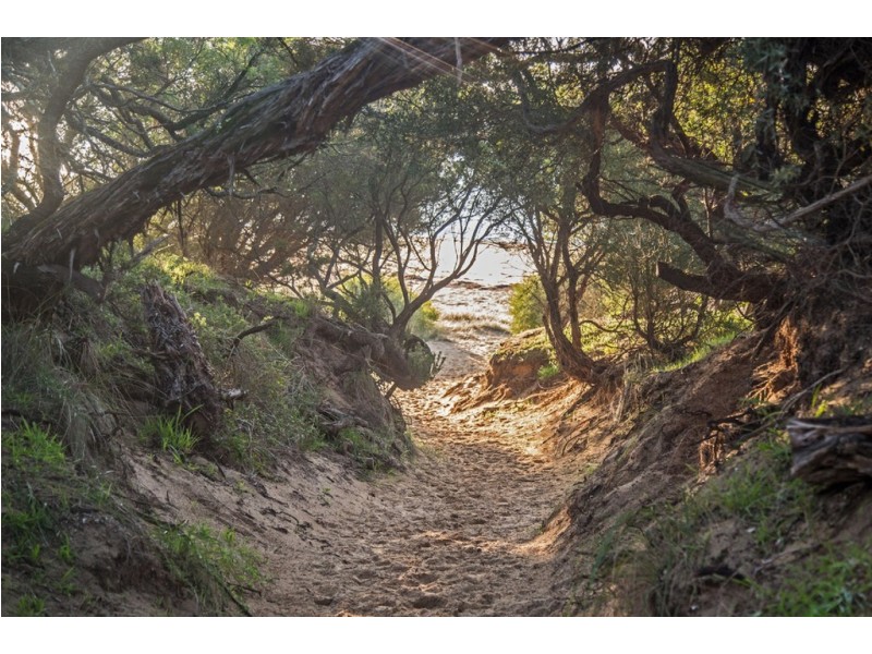 1 Iona Court, Cowes VIC 3922