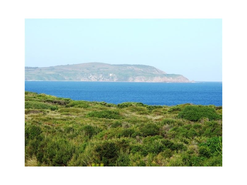 29 Dover Street, Sunderland Bay VIC 3922