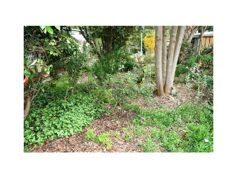 57-59 Teddy Bear Lane, Cowes VIC 3922