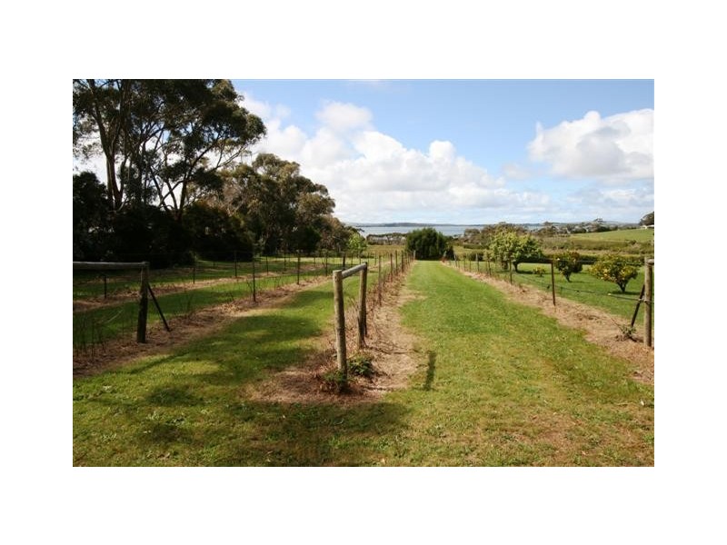 87 Rhyll-Newhaven Road, Rhyll VIC 3923