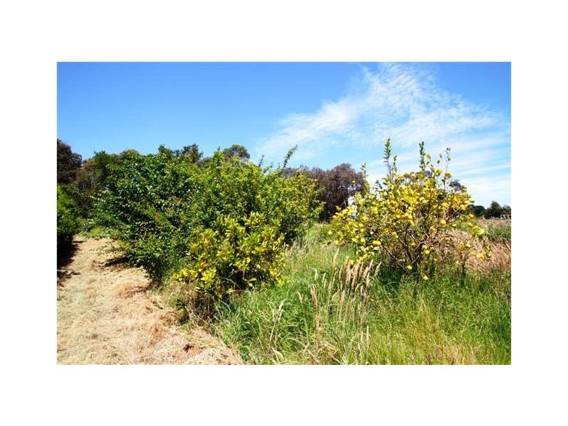 2-6 Casuarina Court, Cowes VIC 3922