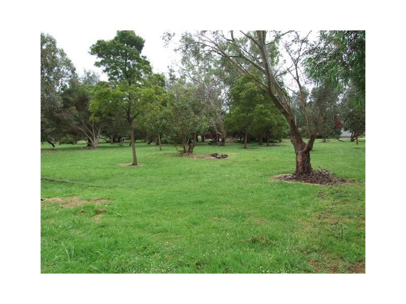 76 Honeysuckle Grove, Silverleaves VIC 3922