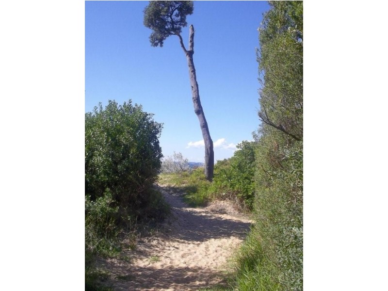 3 Shearwater Drive, Silverleaves VIC 3922