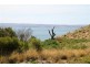 14 Cadogan Avenue, Ventnor VIC 3922