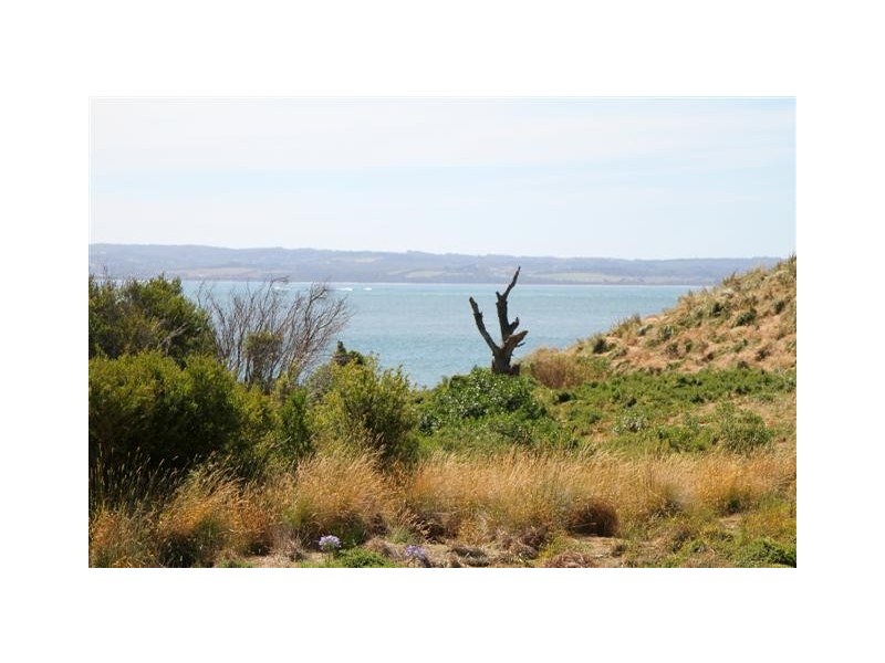 14 Cadogan Avenue, Ventnor VIC 3922