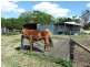 1975 Dalyston Glen Forbes Road, Glen Forbes VIC 3990