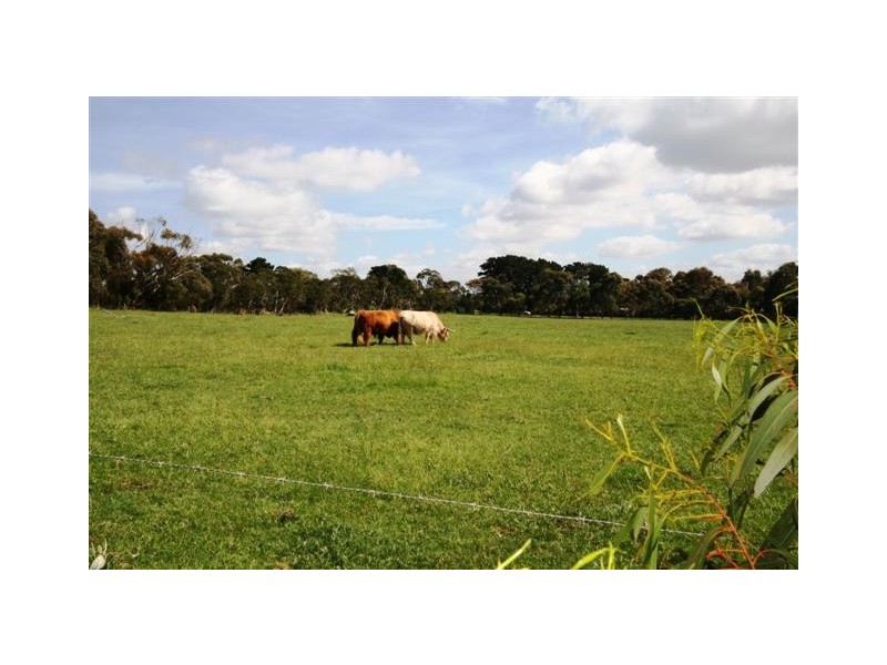 18 Anthony Court, Cowes VIC 3922