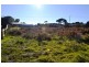 34 Elwood Avenue, Surf Beach VIC 3922