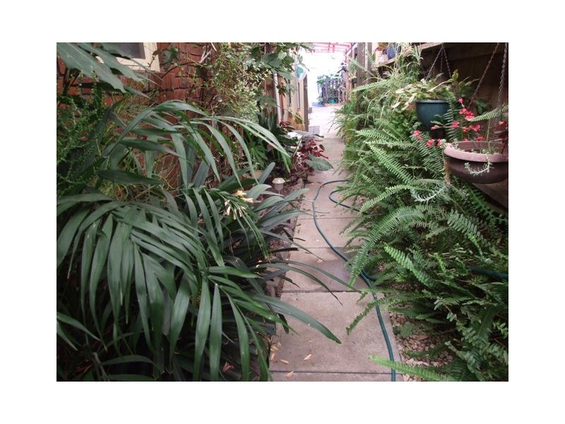 33 Walton Street, Cowes VIC 3922