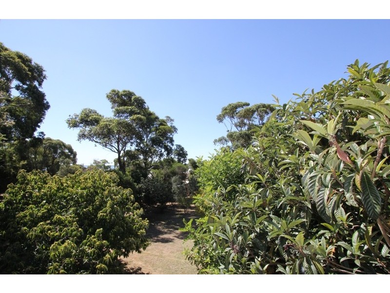 9 Gurnard Avenue, Ventnor VIC 3922