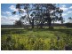 16 Bowman Road, Wimbledon Heights VIC 3922