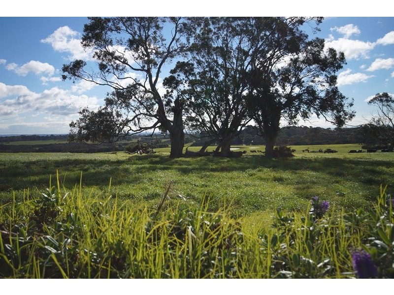 16 Bowman Road, Wimbledon Heights VIC 3922