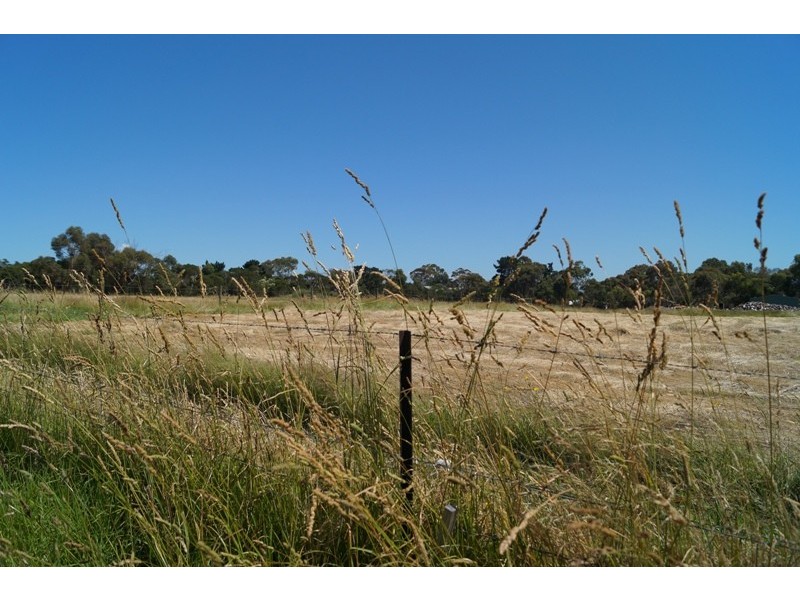 14 Anthony Court, Cowes VIC 3922