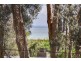 16 Woodland Avenue, Silverleaves VIC 3922
