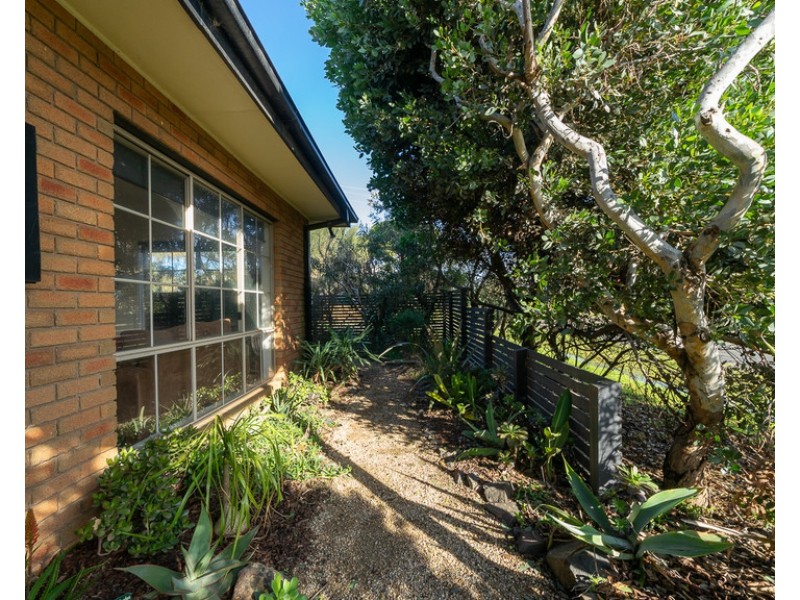 22 Dover Street, Sunderland Bay VIC 3922