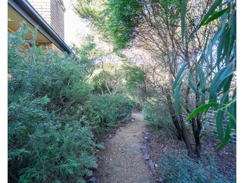 22 Dover Street, Sunderland Bay VIC 3922