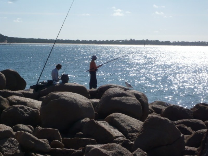 16 Cottosloe Avenue, Cape Woolamai VIC 3925