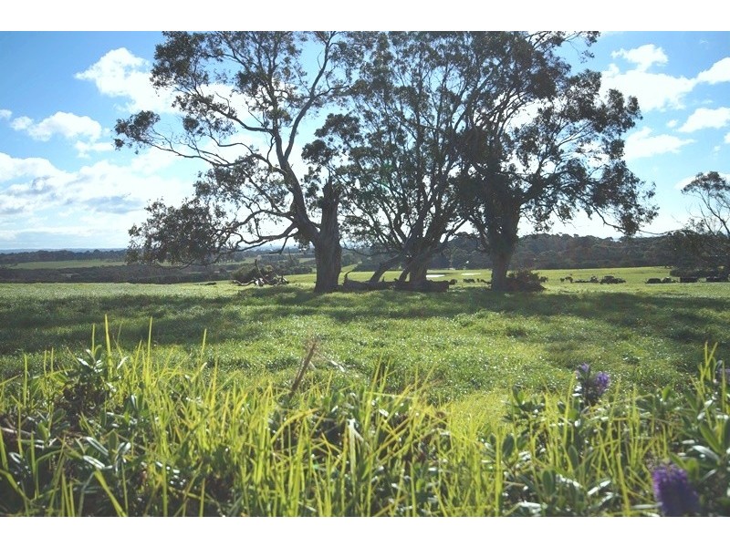 14 Bowman Road, Wimbledon Heights VIC 3922