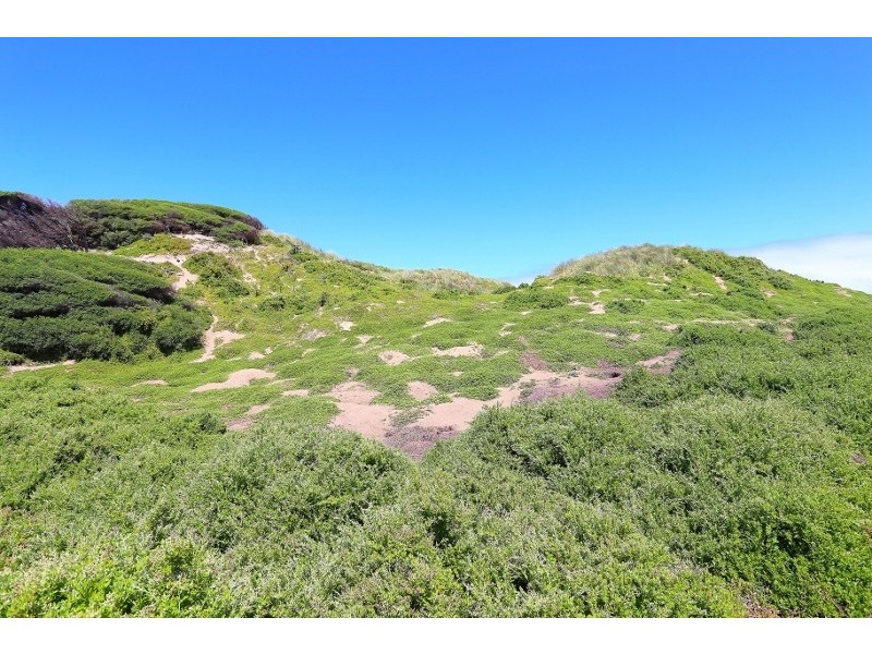 1/110 The Esplanade, Surf Beach VIC 3922