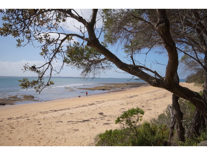 25 Tyro Street, Ventnor VIC 3922