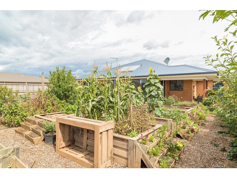 5 Grampian Bvld, Cowes VIC 3922