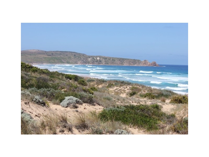 107 Lantana Road, Cape Woolamai VIC 3925