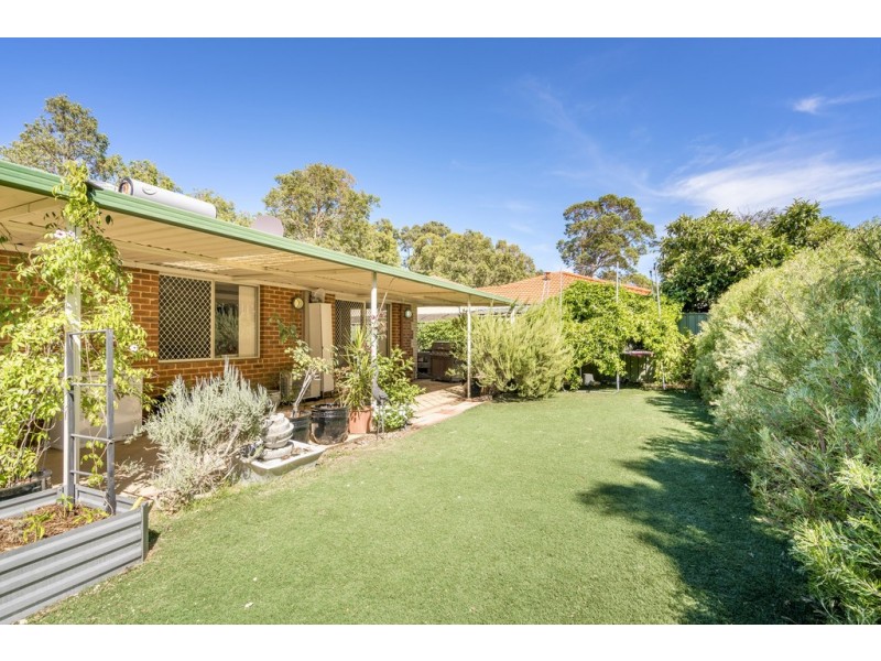 31 Skua Grove, Seville Grove WA 6112