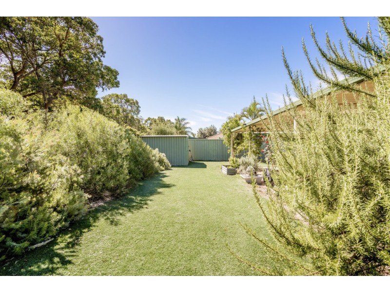 31 Skua Grove, Seville Grove WA 6112