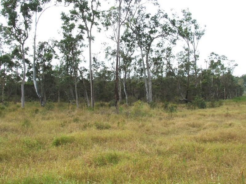 Park Ridge South QLD 4125