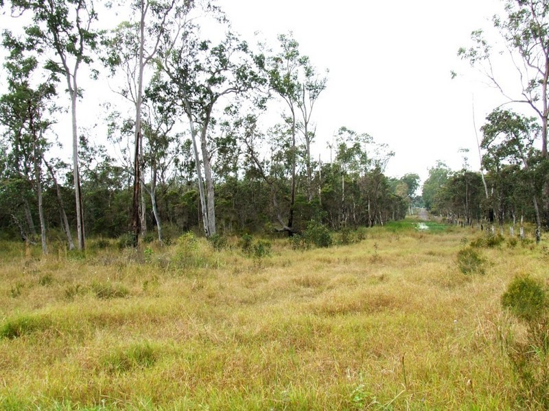 Park Ridge South QLD 4125