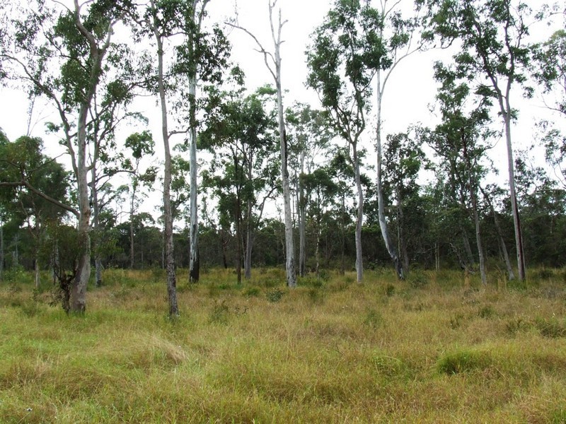 Park Ridge South QLD 4125