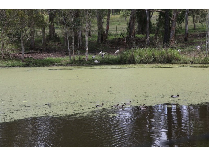 Park Ridge South QLD 4125