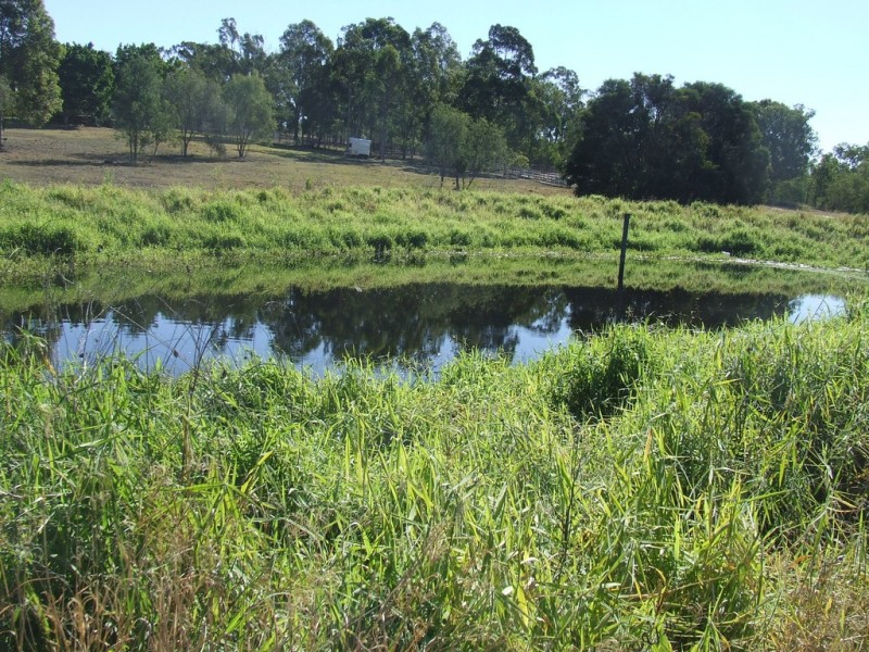 Plainland QLD 4341