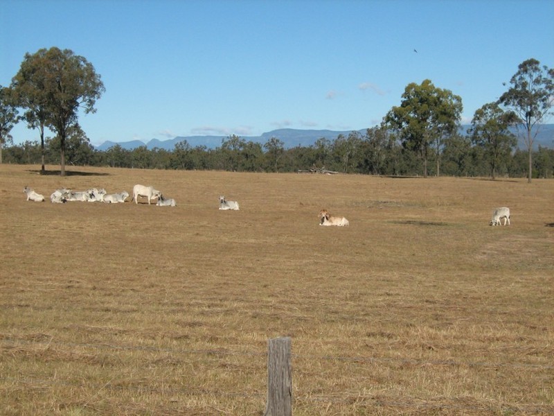 Rosewood QLD 4340