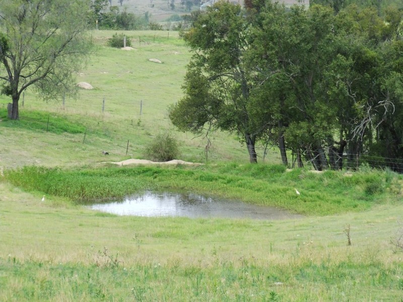 Blenheim QLD 4341