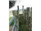 Blenheim QLD 4341