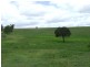 Blenheim QLD 4341