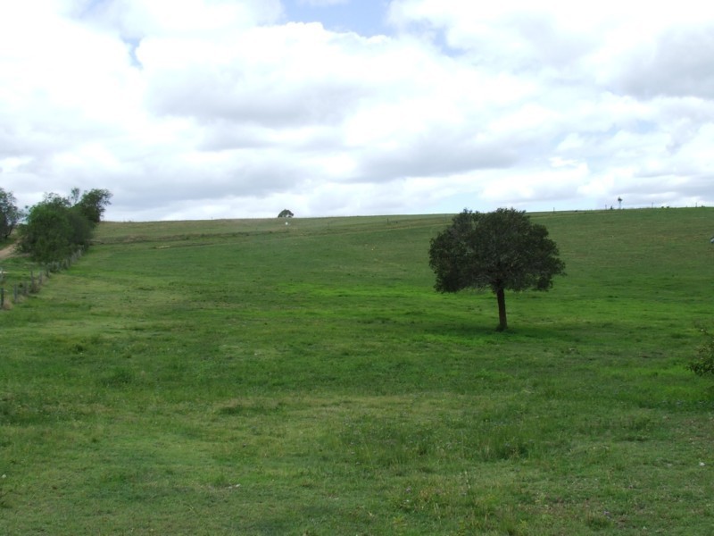 Blenheim QLD 4341