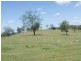 Blenheim QLD 4341