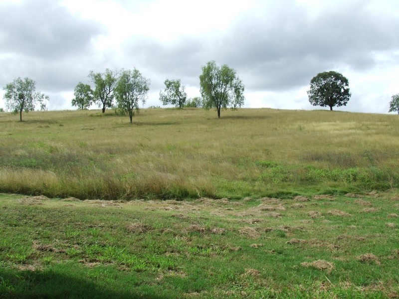 Blenheim QLD 4341